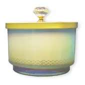 Beautiful Oasis 16oz Footed Dish Candle
