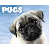 Pugs 2026 Desk Calendar