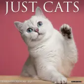 Just Cats 2025 Wall Calendar