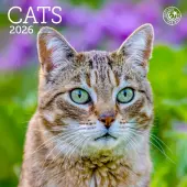 Cats 2026 Mini Wall Calendar