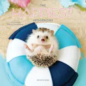 Happiest Hedgehogs 2026 Mini Wall Calendar