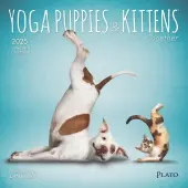 Yoga Puppies and Kittens 2025 Mini Wall Calendar