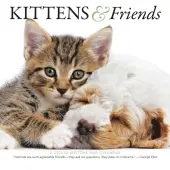 Kittens and Friends 2026 Mini Wall Calendar