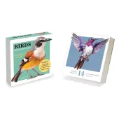 Birds Backyard And Beyond 2025 Desk Calendar