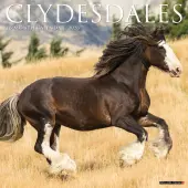 Clydesdales Horses 2026 Wall Calendar