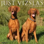 Just Vizslas 2026 Wall Calendar
