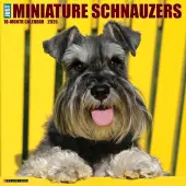 Just Miniature Schnauzers 2026 Wall Calendar