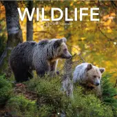 Wildlife 2026 Wall Calendar