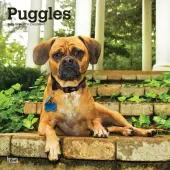 Puggles 2025 Wall Calendar