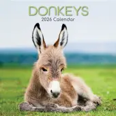 Donkeys 2026 Wall Calendar