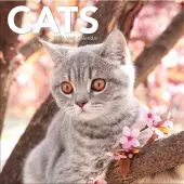 Cats Photo 2026 Wall Calendar
