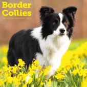 Border Collies 2026 Wall Calendar