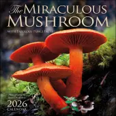 Miraculous Mushroom 2026 Wall Calendar