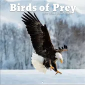 Birds Of Prey Photo 2025 Wall Calendar