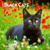 Black Cats 2025 Mini Wall Calendar