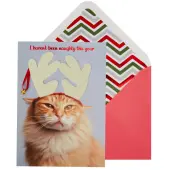 Cat with Antlers Christmas Card