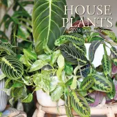 House Plants 2026 Wall Calendar