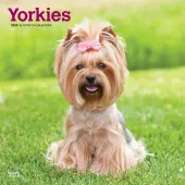 Yorkshire Terriers 2025 Wall Calendar