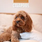 Cavapoos 2026 Wall Calendar