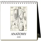 Anatomy 2026 Easel Desk Calendar