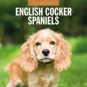 English Cocker Spaniels 2026 Wall Calendar