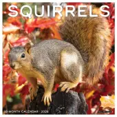 Squirrels 2026 Wall Calendar