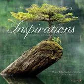 Inspirations 2026 Mini Wall Calendar