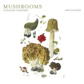 Mushrooms Viazmensky 2026 Wall Calendar
