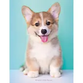 Puppies 2026 Engagement Planner