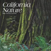California 2025 Mini Wall Calendar