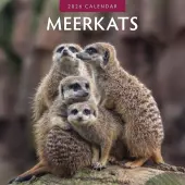 Meerkats 2026 Wall Calendar