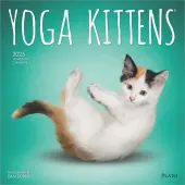 Yoga Kittens Plato 2025 Wall Calendar