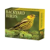 Backyard Birds 2026 Desk Calendar