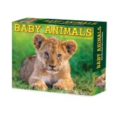 Baby Animals 2025 Desk Calendar
