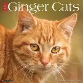 Ginger Cats 2026 Wall Calendar