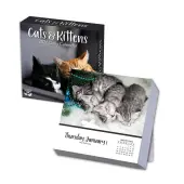 Cats And Kittens 2026 Desk Calendar