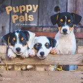 Puppy Pals Plato 2025 Wall Calendar
