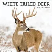 White Tailed Deer 2026 Wall Calendar