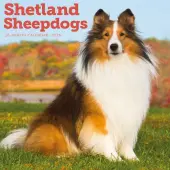 Shetland Sheepdogs 2026 Wall Calendar