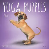 Yoga Puppies Plato 2025 Wall Calendar