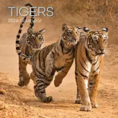 Tigers 2026 Wall Calendar
