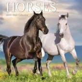 Horses 2025 Mini Wall Calendar