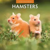 Hamsters 2026 Wall Calendar