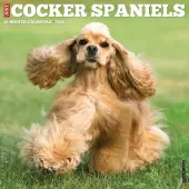 Just Cocker Spaniels 2026 Wall Calendar