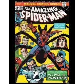 Spider Man Vintage Print