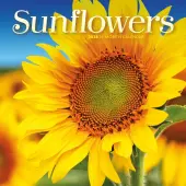 Sunflowers Special Value 2026 Mini Wall Calendar