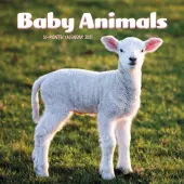 Baby Animals 2025 Mini Wall Calendar