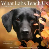 What Labs Teach Us 2025 Wall Calendar