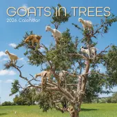 Goats in Trees 2026 Wall Calendar