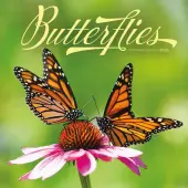 Butterflies  2026 Wall Calendar